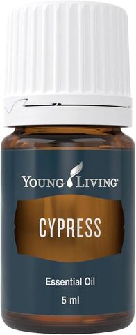 Кипарис (Cypress) - 5 ml