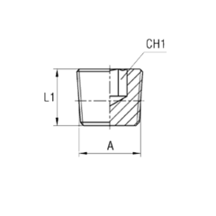 Заглушка BSPT 1/4 CAST