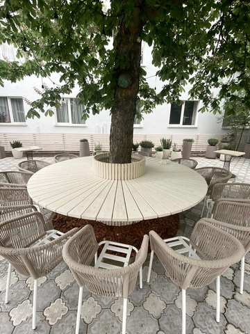 BL-0018 Беленый дуб