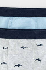 трусы/ уп  для мальчика  К 1980-2уп/небесный,серо-голуб.меланж,акулы