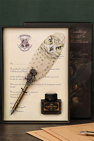 Harry Potter Magic Feather Pen Mix design 1 pcs  beigh