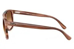 Очки Ray-Ban RB 2213 1423/51
