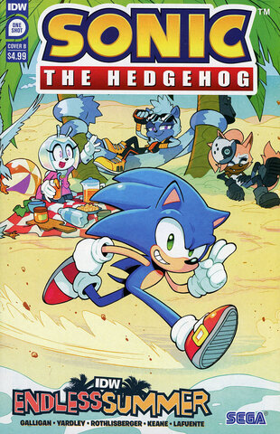 IDW Endless Summer Sonic The Hedgehog #1 (One Shot) (Cover B)
