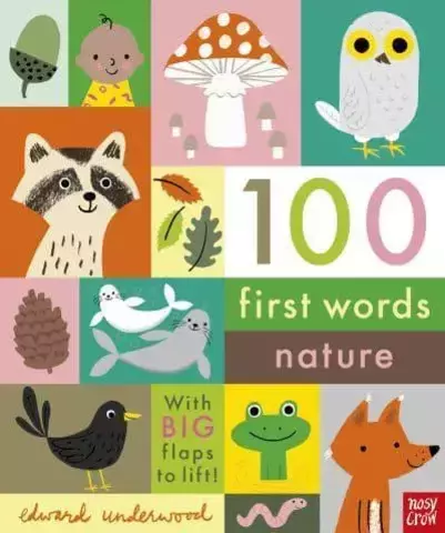 Nature - 100 First Words