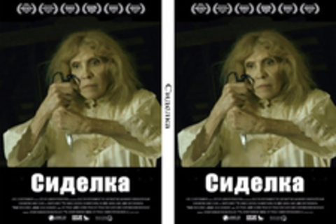 Сиделка (2016)