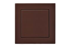 Выключатель Одноклавишный Коричневый LIREGUS EPSILON