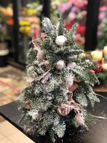 Снежное чудо