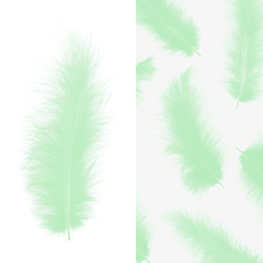 Перья Мятный, 12*15 см, 30 шт.