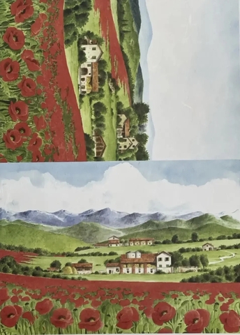 рисовая карта CO 35 (35*50см)