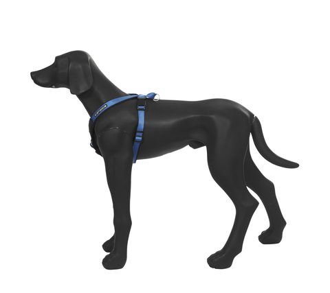 Шлейка ICEPEAK PET PROZONE SUPER HARNESS,  синяя