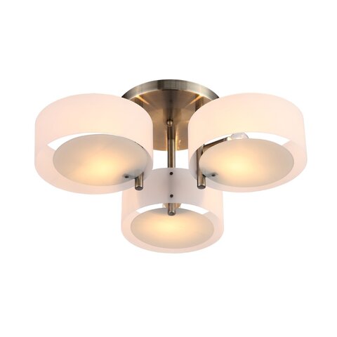 Светильник потолочный Evoluce Foresta SL483.352.03