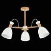 Люстра потолочная Evoluce Balcamo SLE103802-03