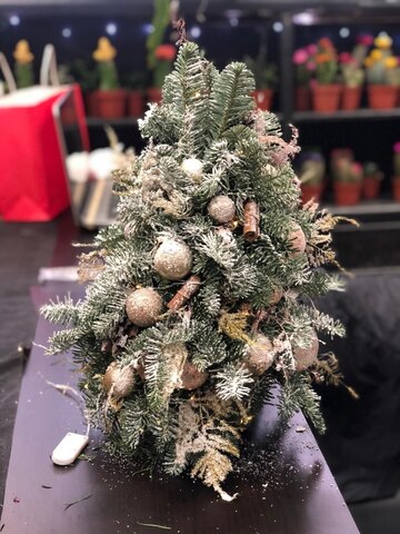 Снежное чудо