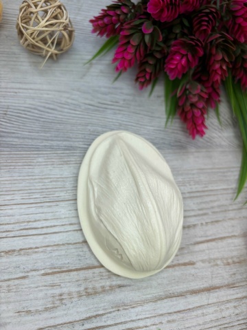 Молд пластиковый+Вайнер силиконовый 