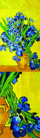 Əlfəcin Van Gogh 1