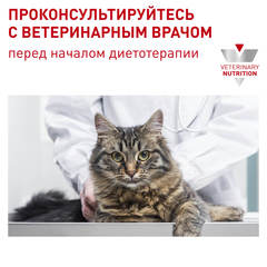 Royal Canin Dental DSO 29 сухой корм для взрослых кошек для гигиены полости рта 1,5 кг