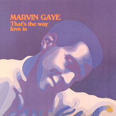 Marvin Gaye / That's The Way Love Is (LP)