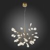 Люстра подвесная ST Luce Riccardo SL411.223.45