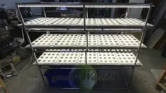 Многоярусный гидропонный стеллаж 3 яруса B1750хД2100хШ600мм до 300 растений