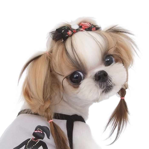 271 Заколка "Мечта" Puppy Angel