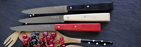 Набор столовых ножей Opinel №125 VRI South Spirit из 4-х штук