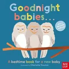 Goodnight Babies... A Bedtime Book for a New Baby - Charlotte Trounce