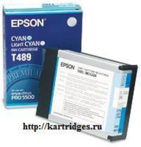 Картридж Epson T489011