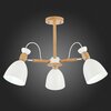 Люстра потолочная Evoluce Balcamo SLE103802-03