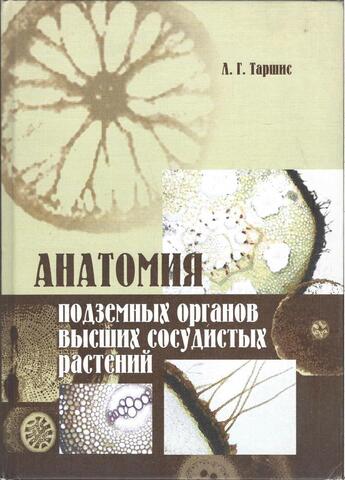Анатомия подземных органов высших сосудистых растений