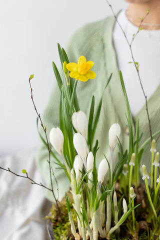 Серия Винтаж. Первоцветы в хрустале L