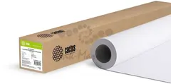 Фотобумага Cactus CS-PSM260-61030 A1+ 610мм-30м/260г/м2/белый шелковисто-матовое для струйной печати втулка:50.8мм (2") — фото 2