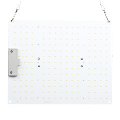 Crazy Green Quantum DXG 100 Вт ECO