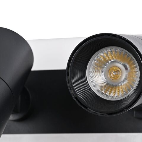 Настенно-потолочный светодиодный светильник Favourite Trick 4079-2C