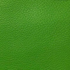 Искусственная кожа Colander green (Коландер грин)
