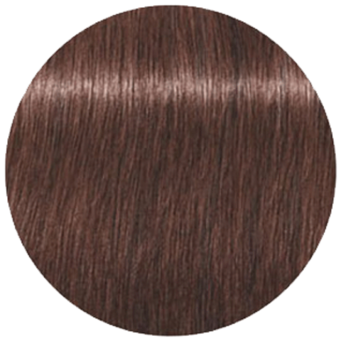 Schwarzkopf Igora Royal 6-28 (Темный русый пепельный красный) - Краска для волос