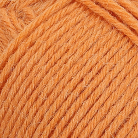 Regia Uni Knit With Colors 1054