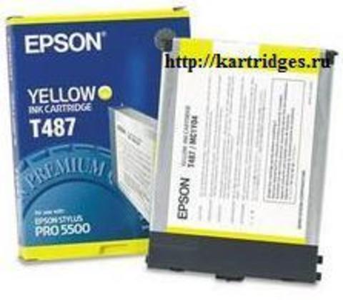 Картридж Epson T487011