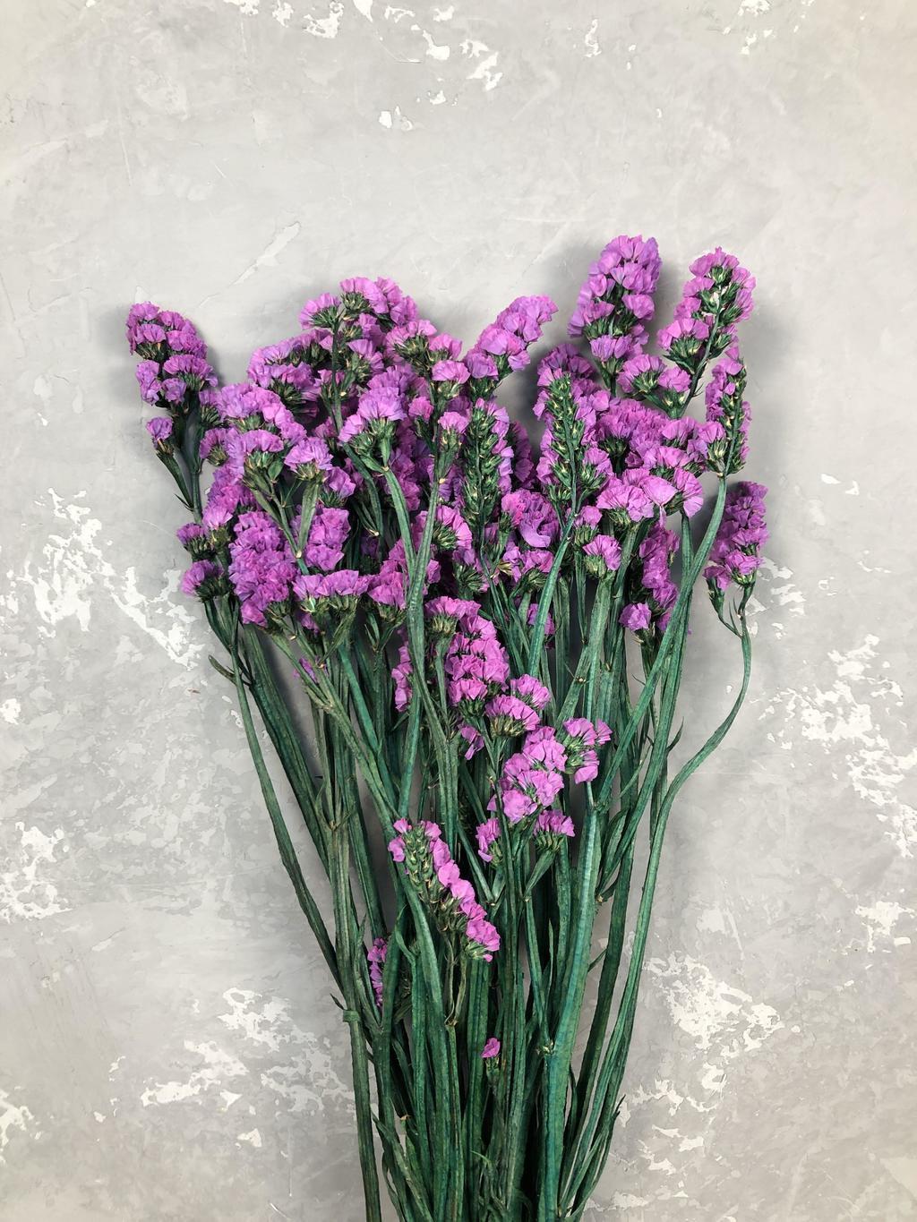 Статица стабилизированная розовая - купить в магазине | Сухоцветы |  Стабилизированные цветы | Букеты из сухоцветов