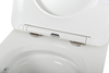 Унитаз Cezares Stylus-Tor CZR-6601-TH-TOR/CZR-2316-SC подвесной с сиденьем Микролифт