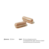 Комплекс Витаминов с антиоксидантами, Advanced Nutrients, Thorne Research, 240 капсул 4