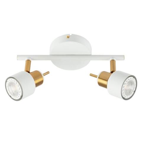 Настенно-потолочный светильник Arte Lamp ALMACH A1906PL-2WH