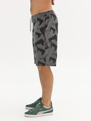 340002С-29 Шорты мужские, Антрацит