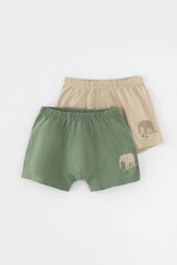 трусы/ уп  для мальчика  К 1912-2уп/папоротник,темно-бежевый