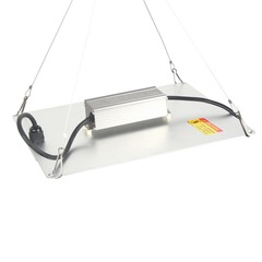 Crazy Green Quantum DXG 100 Вт ECO