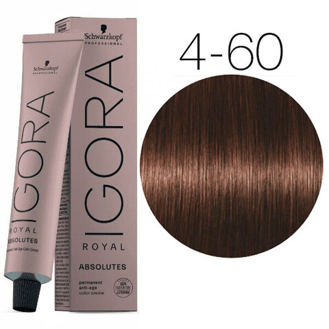 Schwarzkopf Igora Absolutes 4-60 (Средний коричневый шоколадный натуральный) - Стойкая крем-краска для окрашивания зрелых волос