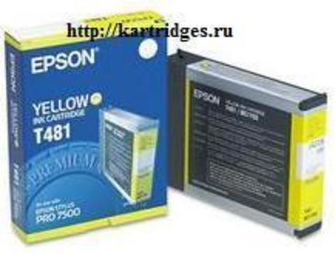 Картридж Epson T481011