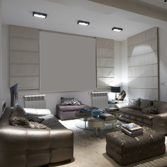 Royal Thermo Biliner 500/SILVER SATIN