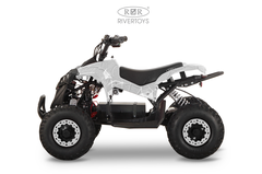 Детский электрический квадроцикл RiverToys MARK 1200W