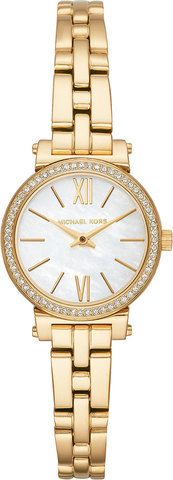 Наручные часы Michael Kors MK3833 фото