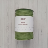Рафия Ispie 121B Ива Willow